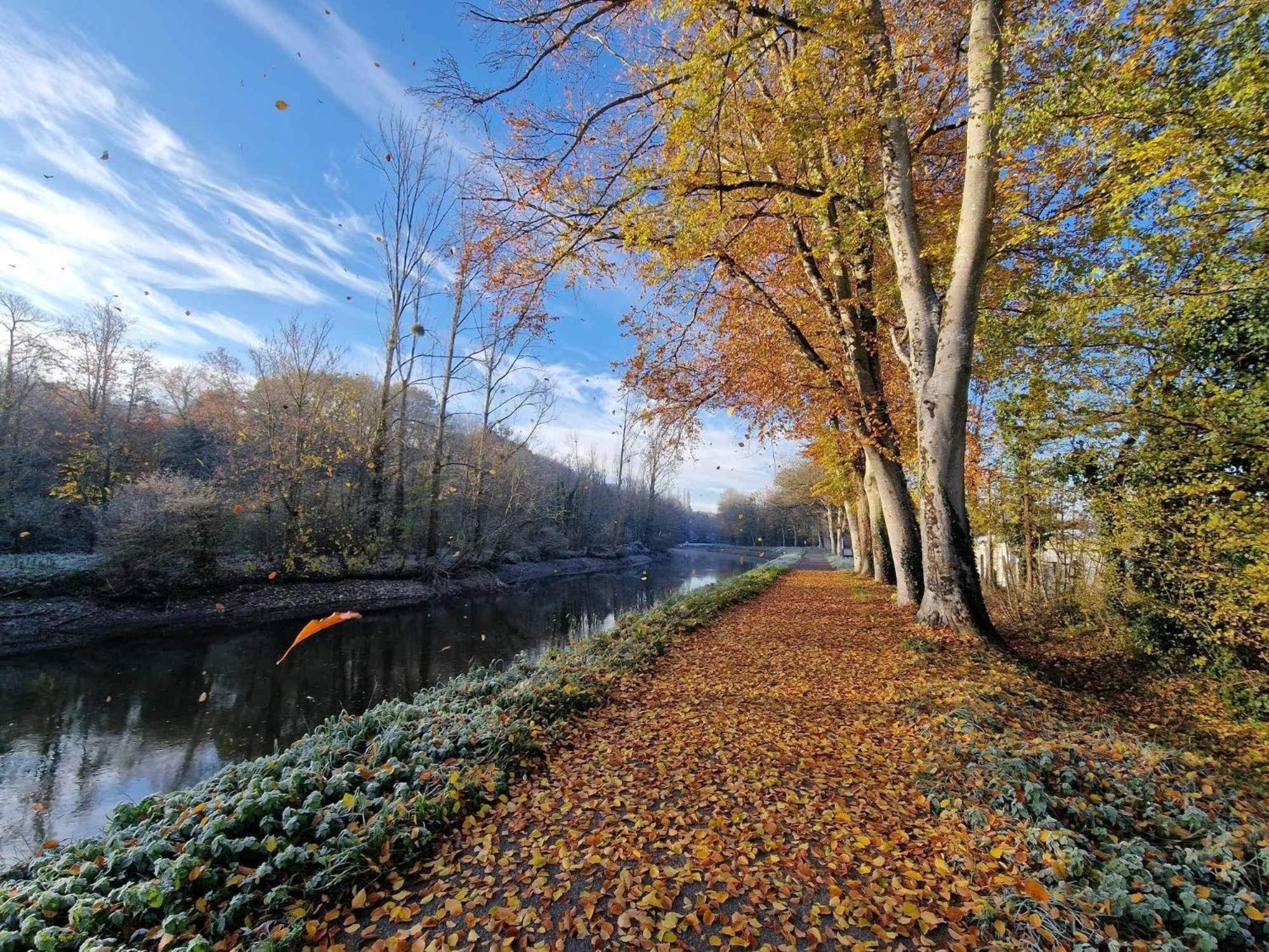 Gite Maisonnette- Et A Cote Coule Une Riviere Josselin Exteriör bild